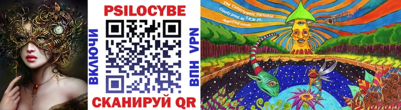 закладки  Бузулук  Галлюциногенные грибы GOLDEN TEACHER 